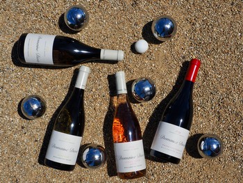 The Summer Sipper